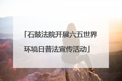 石鼓法院开展六五世界环境日普法宣传活动