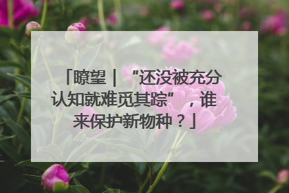 瞭望｜“还没被充分认知就难觅其踪”，谁来保护新物种？