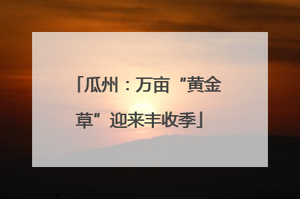 瓜州：万亩“黄金草”迎来丰收季