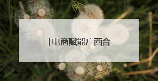 电商赋能广西合浦乡村经济腾飞