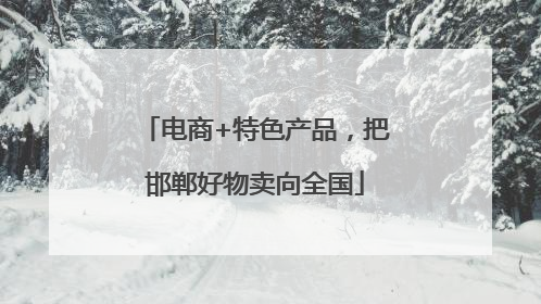 电商+特色产品，把邯郸好物卖向全国