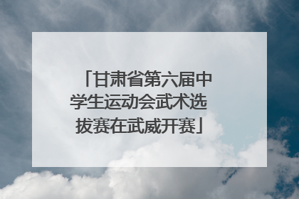 甘肃省第六届中学生运动会武术选拔赛在武威开赛