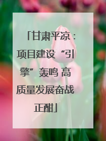 甘肃平凉：项目建设“引擎”轰鸣 高质量发展奋战正酣