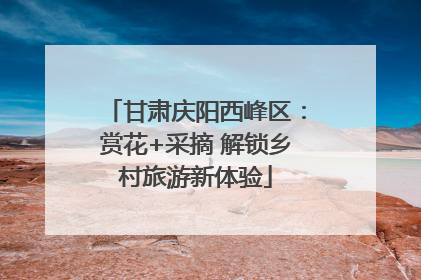 甘肃庆阳西峰区：赏花+采摘 解锁乡村旅游新体验