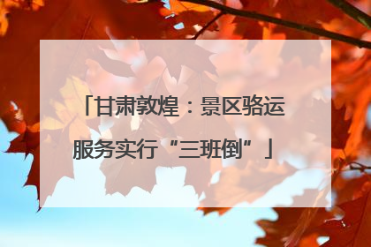 甘肃敦煌：景区骆运服务实行“三班倒”