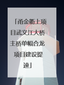 甬金衢上项目武义江大桥主桥单幅合龙 项目建设提速
