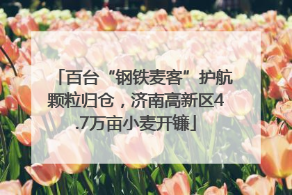 百台“钢铁麦客”护航颗粒归仓，济南高新区4.7万亩小麦开镰