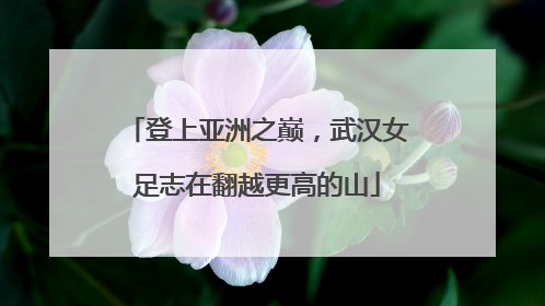 登上亚洲之巅，武汉女足志在翻越更高的山