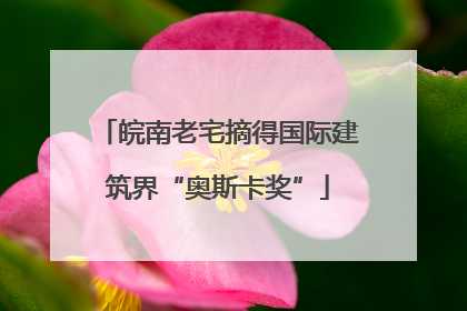 皖南老宅摘得国际建筑界“奥斯卡奖”