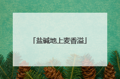 盐碱地上麦香溢