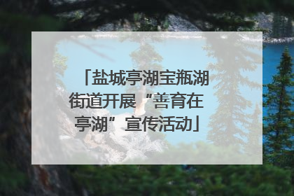 盐城亭湖宝瓶湖街道开展“善育在亭湖”宣传活动