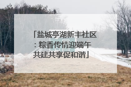 盐城亭湖新丰社区：粽香传情迎端午 共建共享促和谐