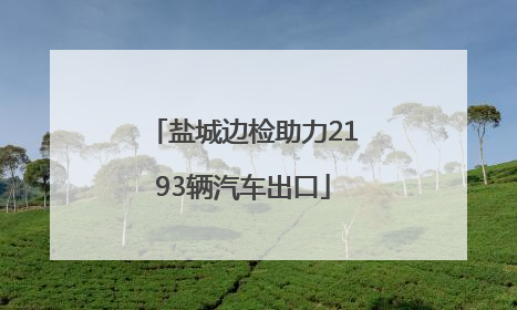 盐城边检助力2193辆汽车出口