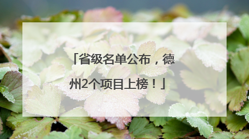 省级名单公布，德州2个项目上榜！