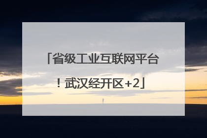 省级工业互联网平台！武汉经开区+2