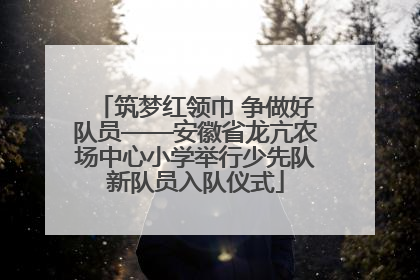 筑梦红领巾 争做好队员——安徽省龙亢农场中心小学举行少先队新队员入队仪式