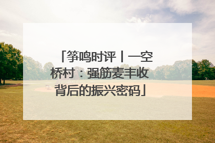 筝鸣时评丨一空桥村：强筋麦丰收背后的振兴密码