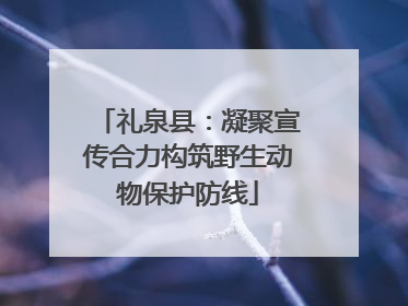 礼泉县：凝聚宣传合力构筑野生动物保护防线