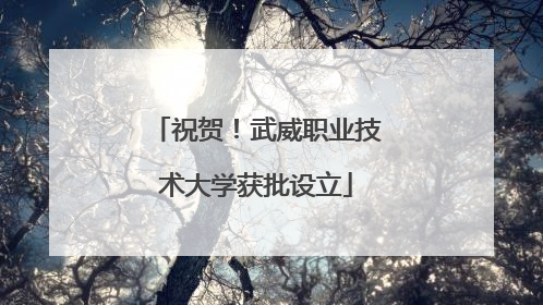 祝贺！武威职业技术大学获批设立