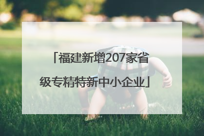 福建新增207家省级专精特新中小企业