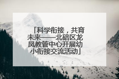 科学衔接，共育未来——北碚区龙凤教管中心开展幼小衔接交流活动