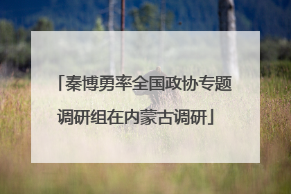 秦博勇率全国政协专题调研组在内蒙古调研