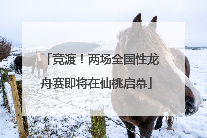 竞渡！两场全国性龙舟赛即将在仙桃启幕
