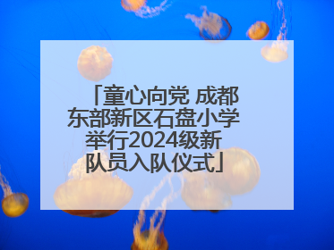 童心向党 成都东部新区石盘小学举行2024级新队员入队仪式