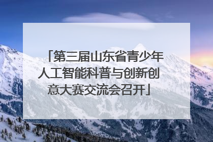 第三届山东省青少年人工智能科普与创新创意大赛交流会召开