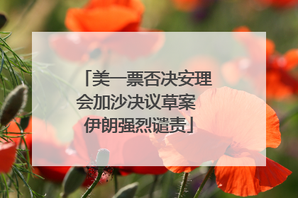 美一票否决安理会加沙决议草案 伊朗强烈谴责