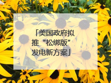 美国政府拟推“松绑版”发电新方案