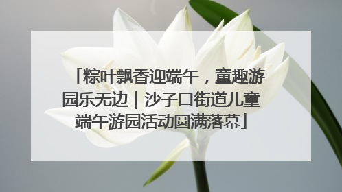 粽叶飘香迎端午，童趣游园乐无边｜沙子口街道儿童端午游园活动圆满落幕