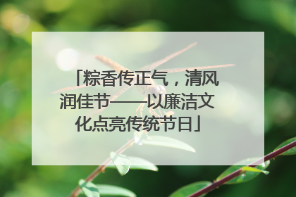 粽香传正气，清风润佳节——以廉洁文化点亮传统节日