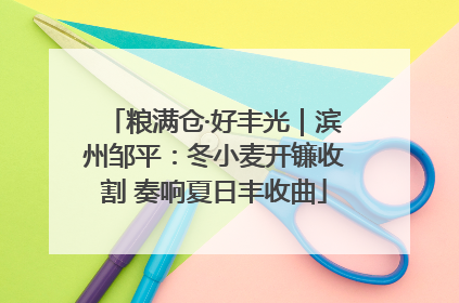 粮满仓·好丰光｜滨州邹平：冬小麦开镰收割 奏响夏日丰收曲