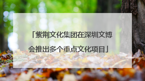 紫荆文化集团在深圳文博会推出多个重点文化项目