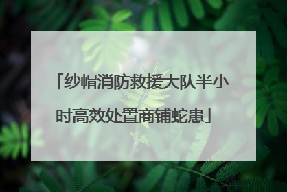 纱帽消防救援大队半小时高效处置商铺蛇患