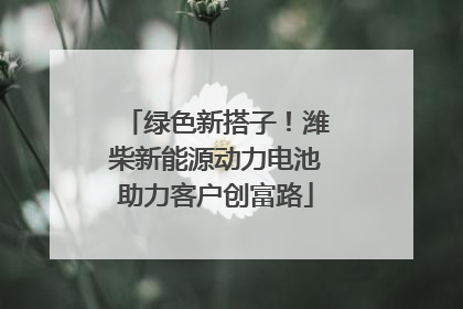 绿色新搭子！潍柴新能源动力电池助力客户创富路