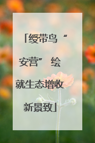 绶带鸟“安营” 绘就生态增收新景致