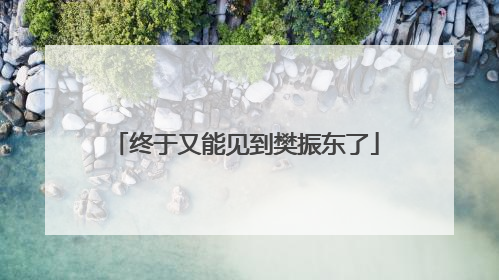 终于又能见到樊振东了