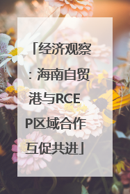 经济观察：海南自贸港与RCEP区域合作互促共进