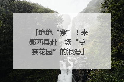 绝绝“紫”！来郧西县赴一场“莫奈花园”的浪漫