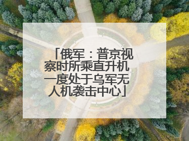 俄军：普京视察时所乘直升机一度处于乌军无人机袭击中心
