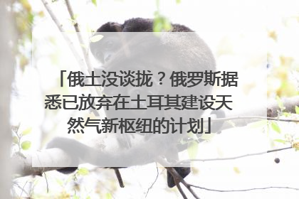 俄土没谈拢？俄罗斯据悉已放弃在土耳其建设天然气新枢纽的计划