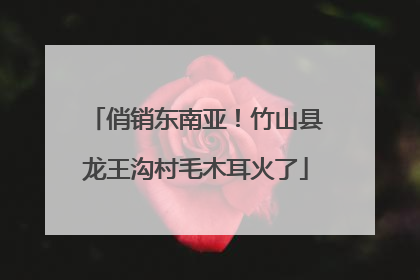 俏销东南亚！竹山县龙王沟村毛木耳火了