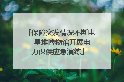 保障突发情况不断电 三星堆博物馆开展电力保供应急演练