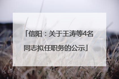 信阳：关于王涛等4名同志拟任职务的公示