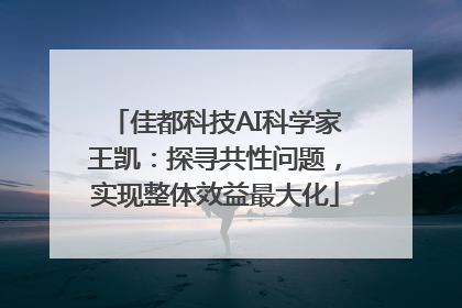 佳都科技AI科学家王凯：探寻共性问题，实现整体效益最大化