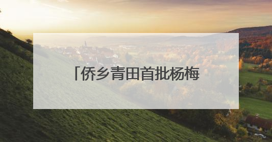 侨乡青田首批杨梅启程新加坡 保鲜提质售出“金果果”