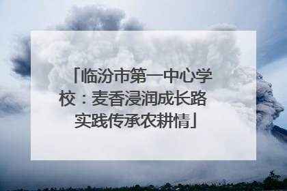 临汾市第一中心学校：麦香浸润成长路 实践传承农耕情