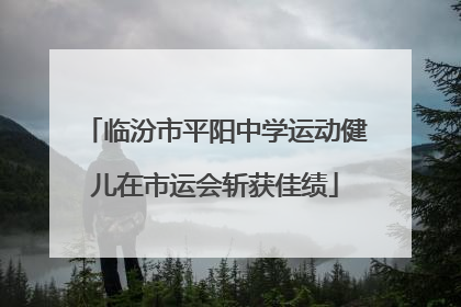 临汾市平阳中学运动健儿在市运会斩获佳绩